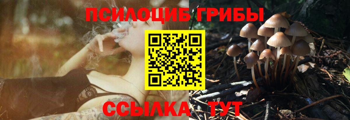 Галлюциногенные грибы Psilocybine cubensis  Псилоцибиновые грибы Magic Shrooms  магазин продажи   Вход с VPN  Южноуральск 